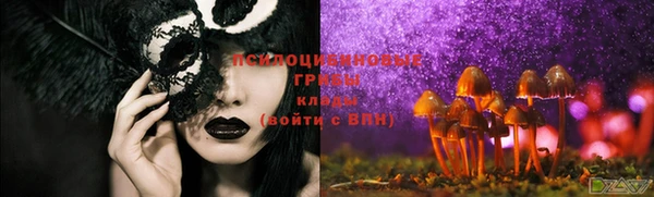 крисы Беломорск