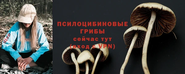 скорость Белокуриха
