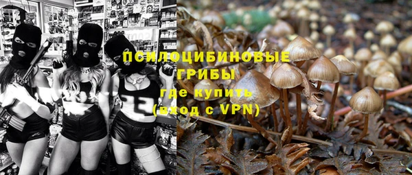 индика Белоозёрский