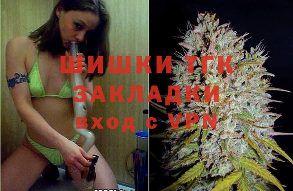 индика Белоозёрский